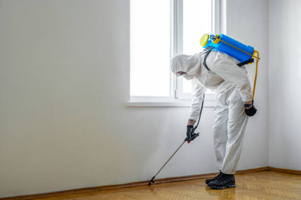 Best Wildlife Control Services  in Mena, AR