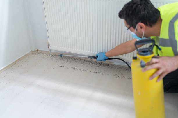 Best Local Pest Control Services  in Mena, AR
