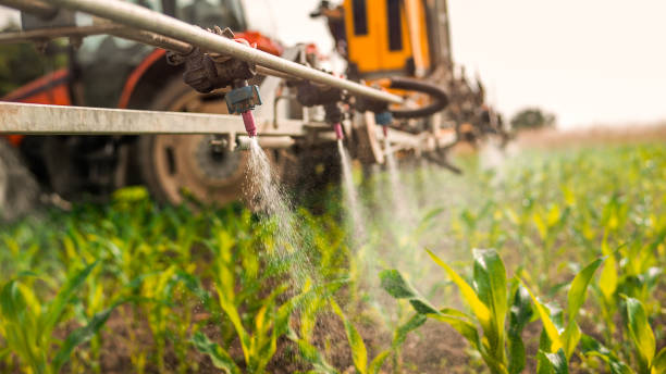 Best Pest Removal Services  in Mena, AR