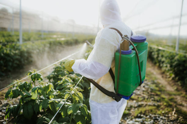 Best Pest Control Near Me  in Mena, AR